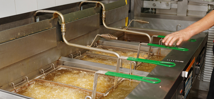 Commercial Fryer Repair in Kanata