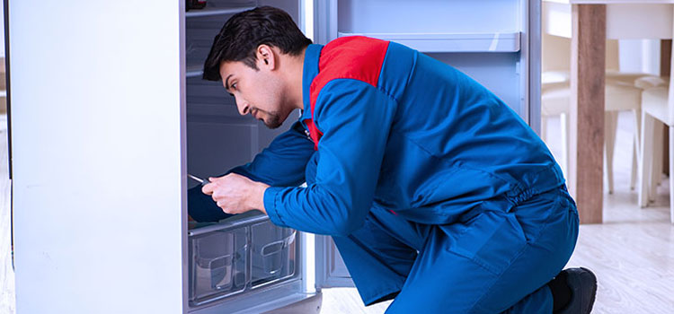 Zephyr Freezer Repair Services in Kanata