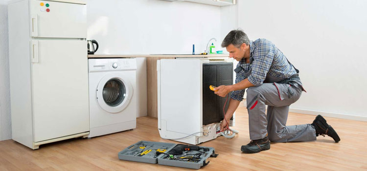 Zephyr Kitchen Appliance Installation Service in Kanata