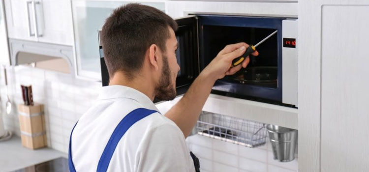 Zephyr Microwave Repair Service Kanata